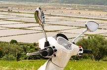 Half Day Vespa Countryside Tour and Tastings in Istria
