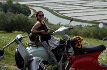 Half Day Vespa Countryside Tour and Tastings in Istria