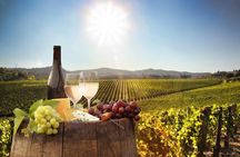 Cape Town Wildlife and Wine Tour Giraffes, Cheetahs, and Tastings