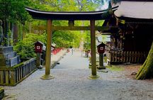  VIP Mt. Fuji, Lake Kawaguchiko & Ice Cave One Day Tour 