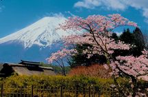 VIP Mt. Fuji & Hakone Attractive Private Day Tour