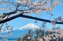 VIP Mt. Fuji & Hakone Attractive Private Day Tour
