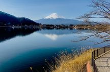 VIP Mt. Fuji & Hakone Attractive Private Day Tour