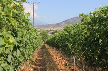 Kavala Wineries Tour and Wine Tastings