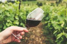 Kavala Wineries Tour and Wine Tastings