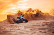 Dune Bashing Quad Biking and Camel Riding with BBQ Meal 