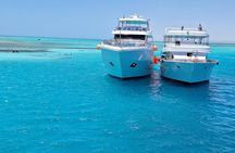 Snorkeling at White Island & Ras Mohammed - Sharm El-Sheikh