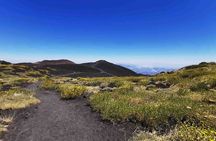 Etna Alcantara tour: the majestic lava landscape 