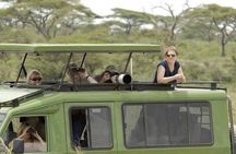 2 Days Golden Monkey Trekking Tour and Akagera Wildlife Safari