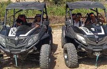  Private Buggy Tour at the Beach and Mountains