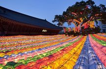 Seoul Fun Private Tour (customizable) 