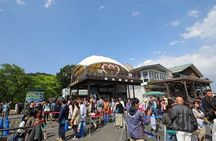 Amanohashidate and Miyama Day Tour With Lunch