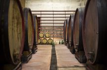 Tasting of Rosso Piceno DOC Superiore - Villa Pigna winery