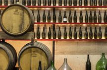 Tasting of Rosso Piceno DOC Superiore - Villa Pigna winery