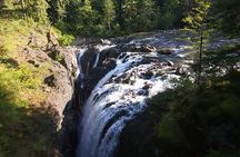 Wildlife, Waterfalls, Caves, Old Growth on Vancouver Island