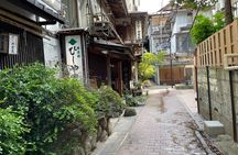 Snow Monkey & Shibu Onsen Afternoon Tour (Depart: Iiyama & Nozwa)