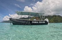 4 Hour Private Humpback Whales Encounter in Moorea