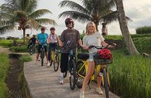 Ubud : Kintamani Downhill Cycling Tour with Lunch