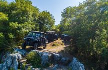 Wild Safari and Panorama Adventure Tour with Buggy from Kotor