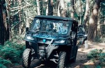 Wild Safari and Panorama Adventure Tour with Buggy from Kotor