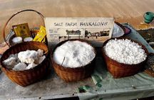Floating and Railway Markets with Kwan Damnoen Restuarant