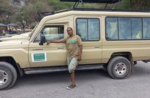2 Days Tarangire park and Ngorongoro Crater from Zanzibar 