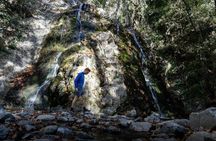 Caledonia Waterfalls Tour with Lunch