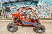 Ruta de Flores Tour: Albania cafe, Ataco town, ATVs, hot springs