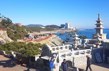 1 Day Private Busan Guided Tour