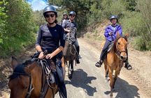 Ride in the Andes Mountains