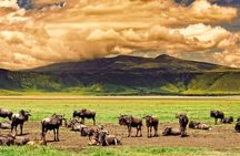 Tarangire Serengeti and Ngorongoro 4-Day Tanzania Tour 