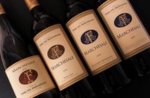 Retrospettiva di Marchesale Wine Tasting and Tour in Bolgheri