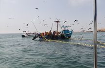 From TPP Pisco: Islands Tours & Paracas Reserve all Inclusive