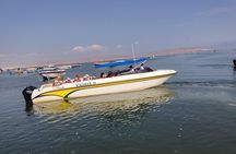From TPP Pisco: Islands Tours & Paracas Reserve all Inclusive