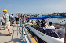 From TPP Pisco: Islands Tours & Paracas Reserve all Inclusive