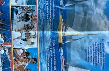 Skip the line Catamaran Party Cruise and Snorkeling 