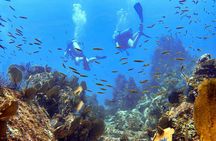 Kauai's Exclusive Morning Scuba Charter for Experienced Divers