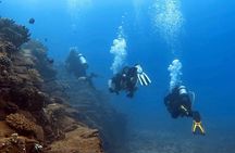Kauai's Exclusive Morning Scuba Charter for Experienced Divers