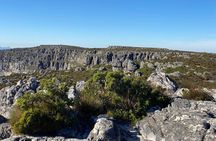 Table Mountain Tour including Pick Up & Drop Off from Cape Town