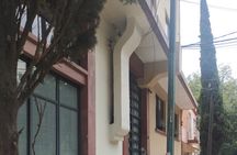 Private guided walking tour in La Condesa neighborhood with transportation