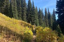 Full-Day Panorama Ridge Hike in Garibaldi Provincial Park