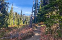 Full-Day Panorama Ridge Hike in Garibaldi Provincial Park