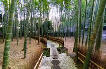Day Trip to Kamakura & Enoshima: Shrines, Seaside, Temples & Tea