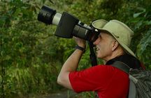 ARENAL DISCOVERY ADVENTURE (1): Volcano Hike, Waterfall & Lunch
