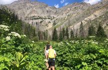 Waterton Bertha Lake Hike