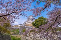 Private Customize Tour Himeji from Osaka 