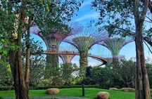 Gardens by the Bay Guided Tour