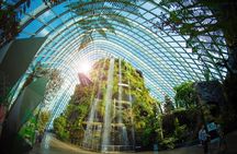 Gardens by the Bay Guided Tour