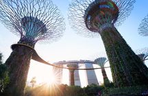 Gardens by the Bay Guided Tour