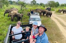 Minneriya National Park Half day Jeep Safari with Hotel Pickup